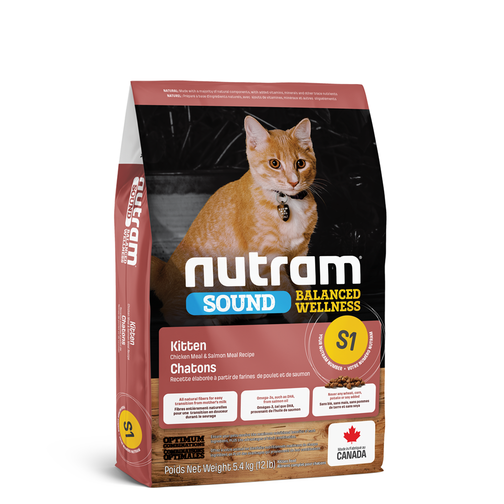 Wellness sales kitten food